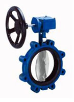 Epoxy Coated Cast Iron Butterfly Valve