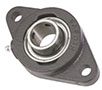 2 Bolt Flange Mounted Bearing (SCJT 1 1_4(in)S)