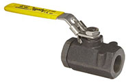 2 Inch (in) Size Ball Valve (020-003382)